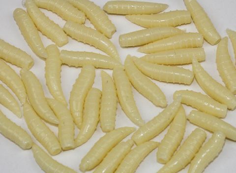 Trendex Artificial Floating Maggots - Natural White
