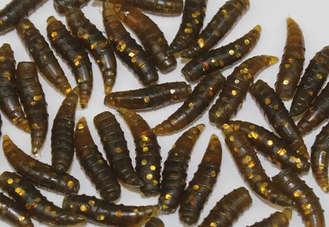Trendex Artificial Floating Maggots - Bronze Glitter